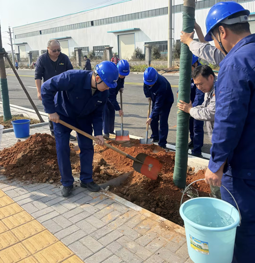植一抹新綠，種一份希望